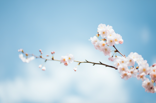 Breathe, It's Spring!
